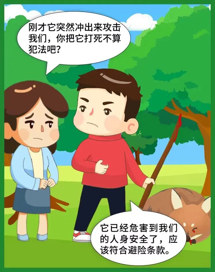 动物保护_野生动物保护法 禁止交易 野生动物运输规定