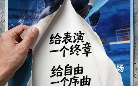 世界地球日，我们共同发起「鲸息公约」