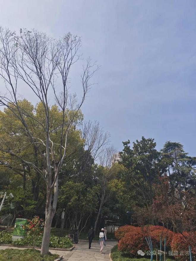 留守儿童父母返乡创业_留守儿童_乡村振兴解决留守儿童问题