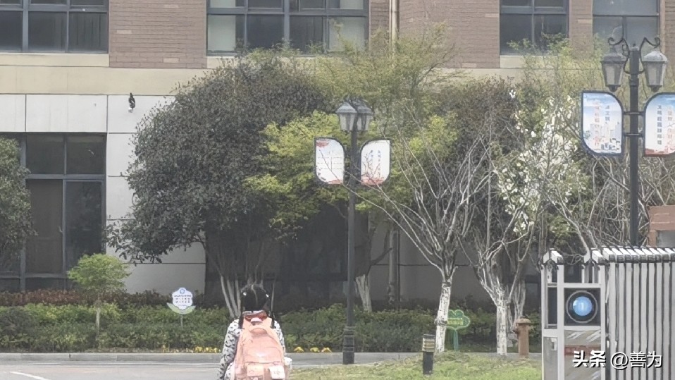 乡村教育双基达标_乡村科技教育师资短缺_乡村教育