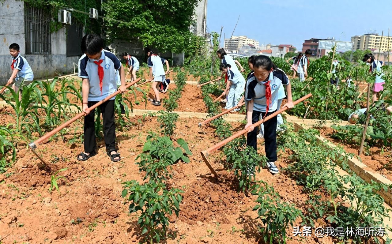 农村基础教育乡土文化融合_乡村教育_乡土教育融入基础教育模式