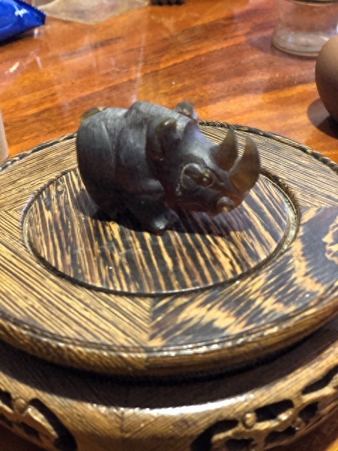 野猪泛滥_野生动物保护_动物保护