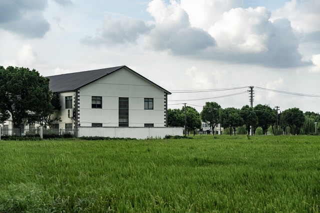 农业农村现代化_乡村振兴_粮食安全产业升级