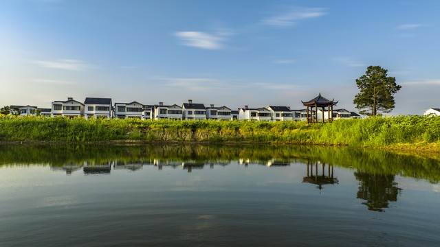 粮食安全产业升级_农业农村现代化_乡村振兴