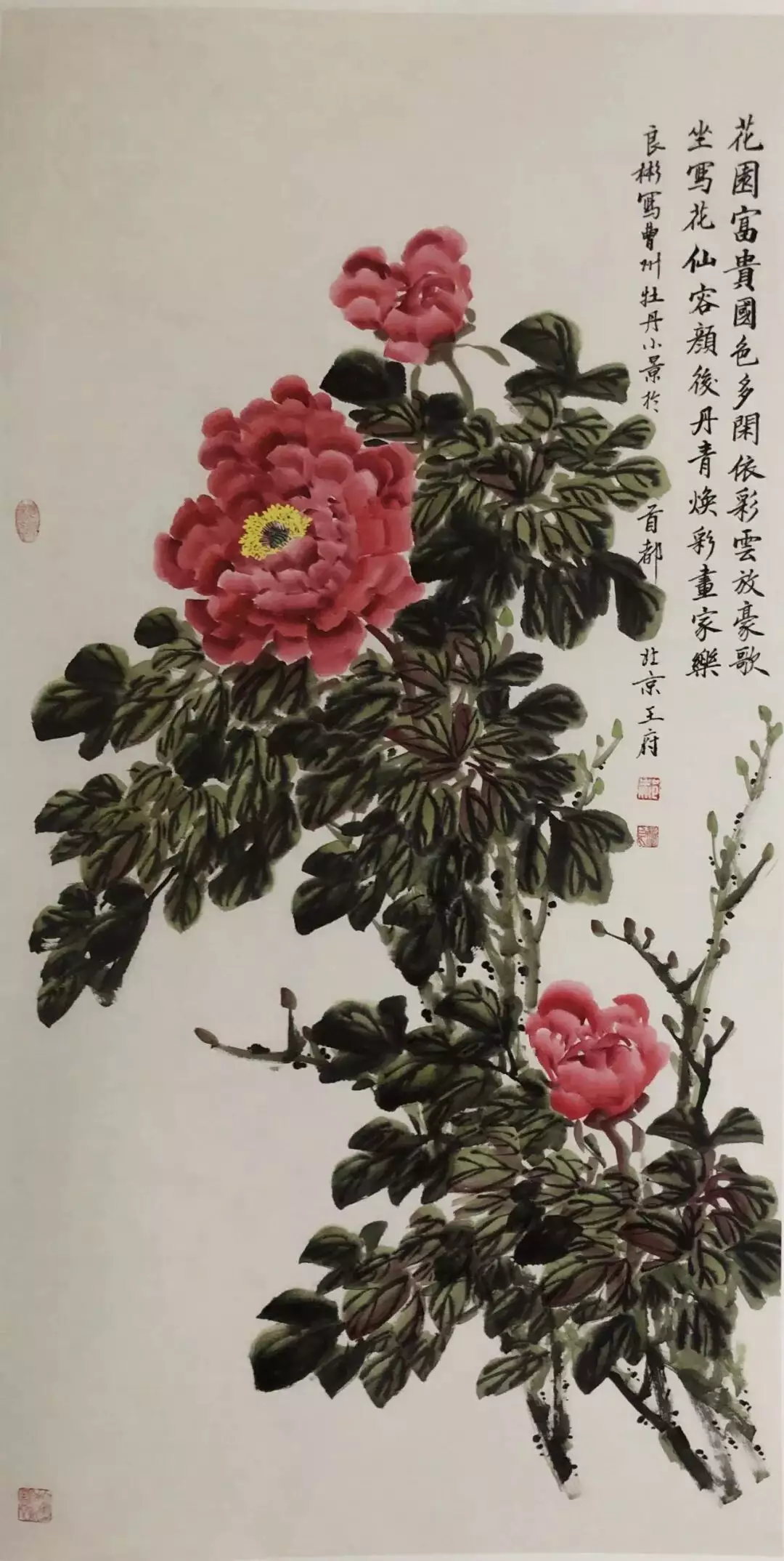 参加公益交流活动的心得体会_公益交流国际活动有哪些_国际公益交流活动