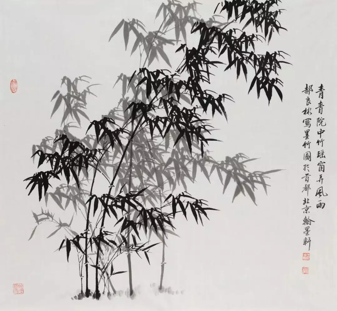 公益交流国际活动有哪些_参加公益交流活动的心得体会_国际公益交流活动