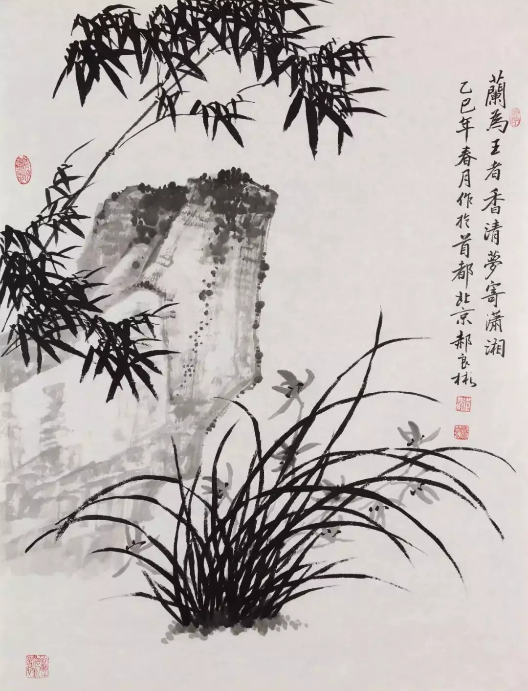 国际公益交流活动_参加公益交流活动的心得体会_公益交流国际活动有哪些