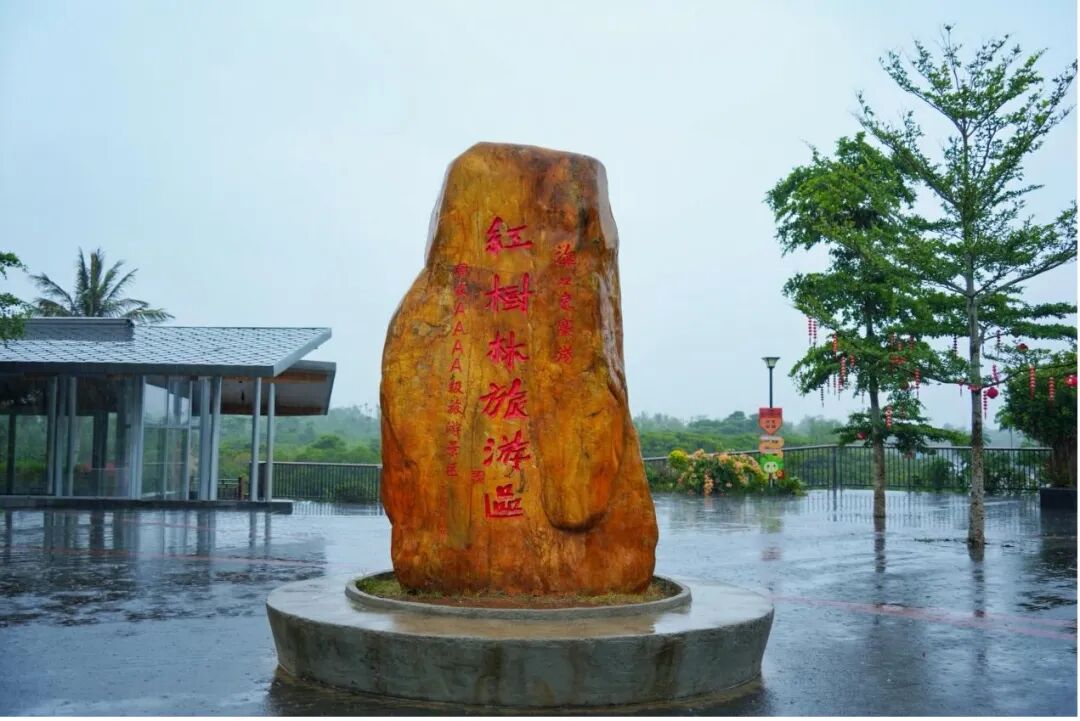 雨中共筑生态屏障 高丝雪肌精携手海洋卫士OceanWe守护红树林
