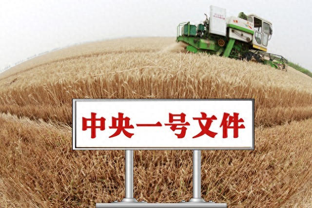 乡村振兴_中央一号文件 乡村全面振兴 农业农村现代化