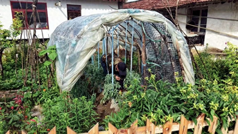 乡村振兴_庭院经济_特色种植养殖
