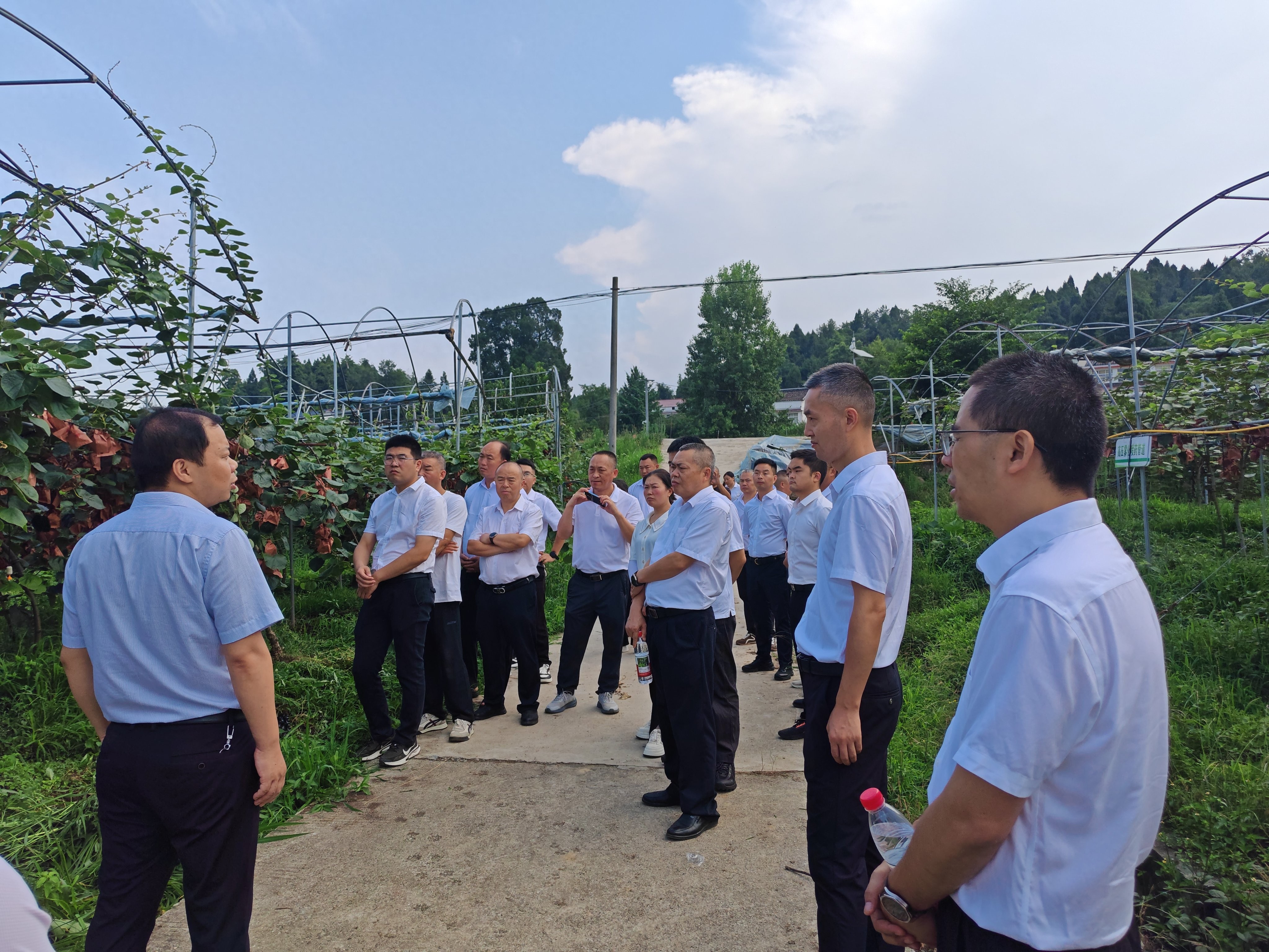 乡村振兴_特色产业培育_乡村振兴产业根基