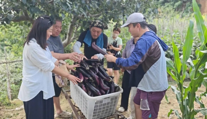 乡村振兴_助农行动_农产品产销对接