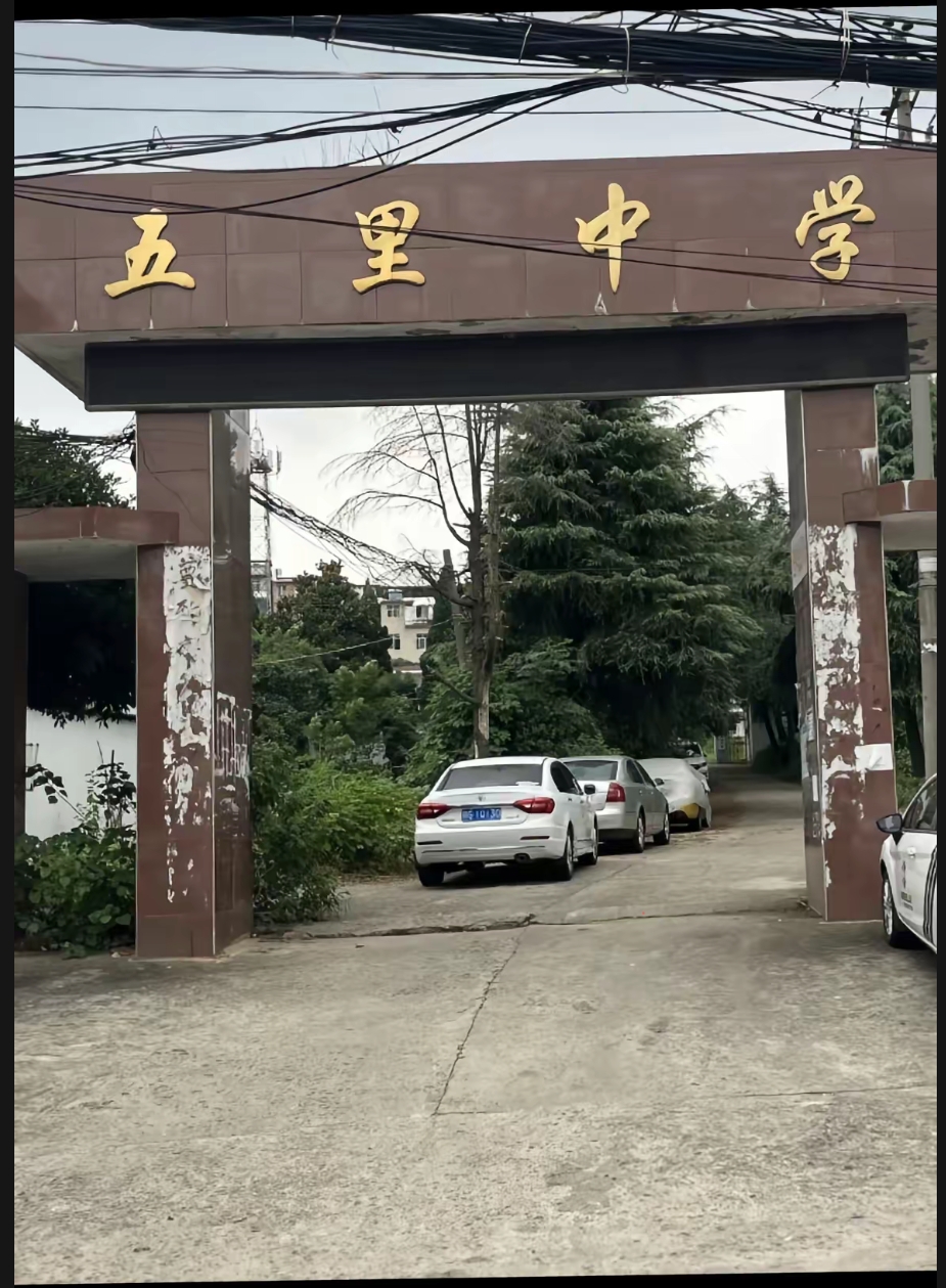 乡村教育振兴策略_乡村教育_中国基础教育发展