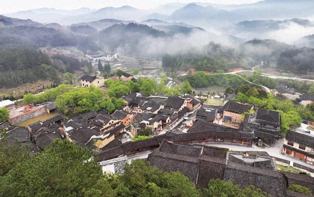 乡村振兴战略_乡村振兴_经济发展现实考量