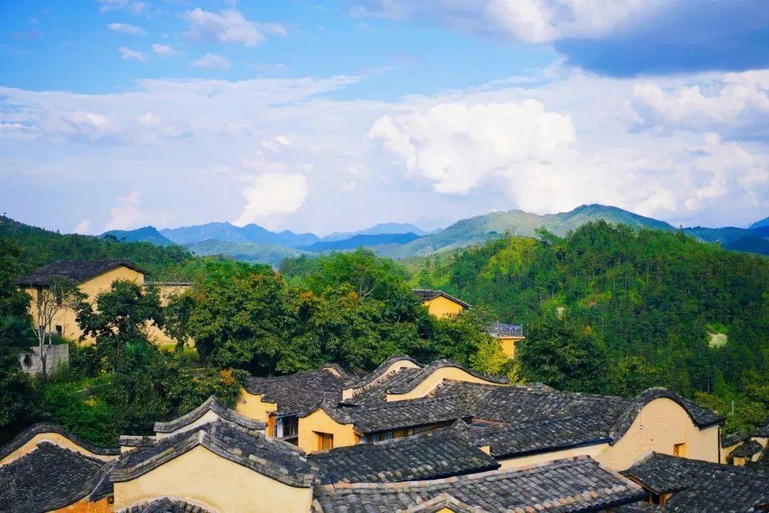 乡村振兴_经济发展现实考量_乡村振兴战略