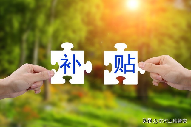 乡村振兴_乡村振兴投入机制_财政金融社会多元投入