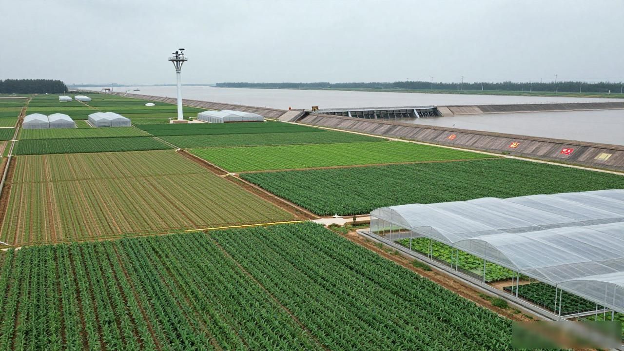 灾害应急_提升农业防灾减灾救灾能力_发展韧性农业