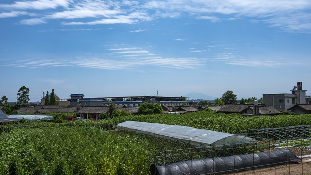 产业兴旺乡村发展_乡村振兴_乡村振兴战略